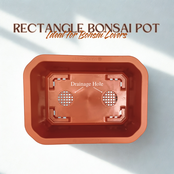 Green Paradise® Premium Rectangular Bonsai Pot Durable Plastic 40cm pot