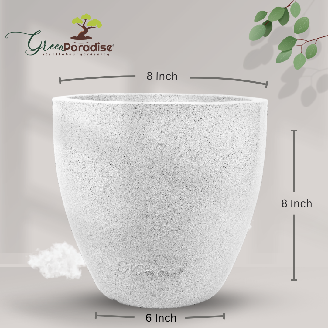 Green Paradise® P CUP Round Roto Molded High Quality Premium Planter