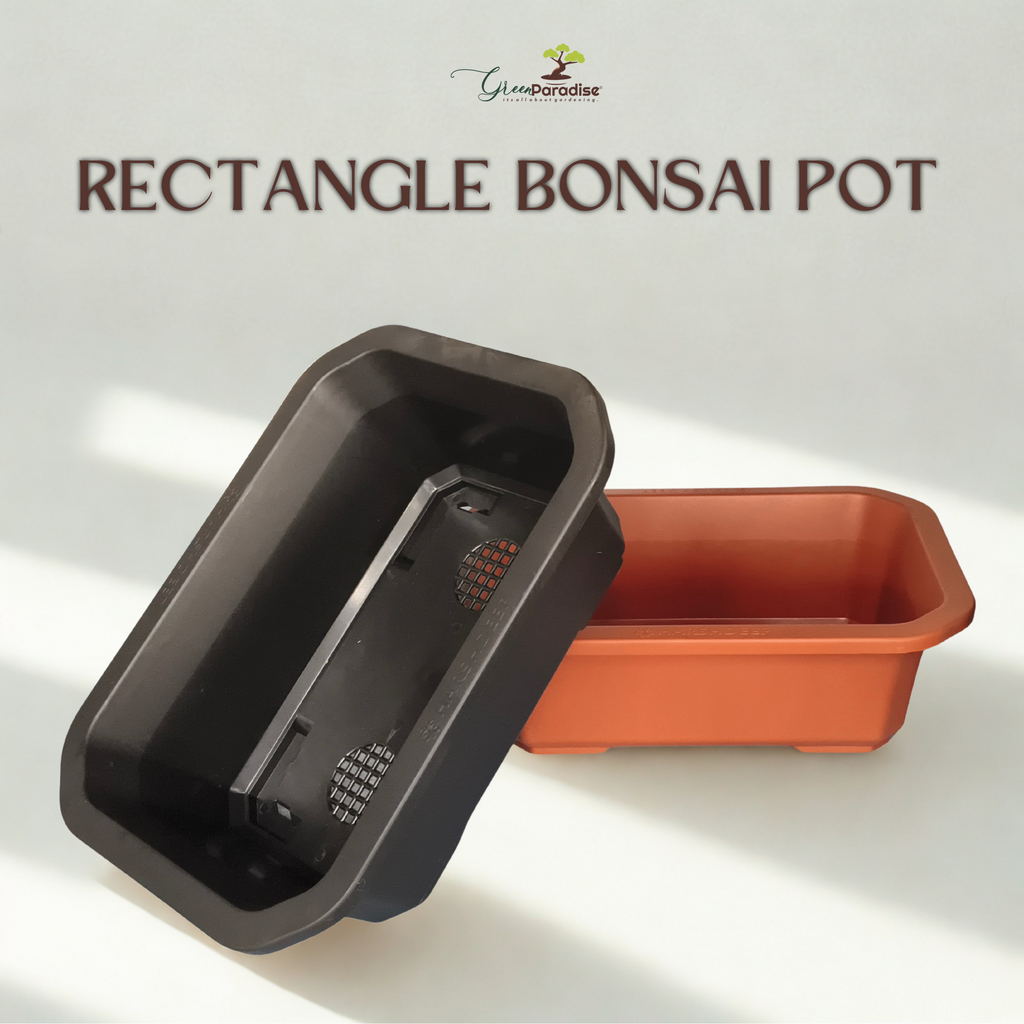 Green Paradise® Premium Rectangular Bonsai Pot Durable Plastic 40cm pot