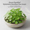Green Paradise® Hydrocotyle Brazilian Pennywort – Fast-Growing Aquatic Plant for Aquariums, Terrariums & Water Gardens | Easy Care Live Creeper Plant