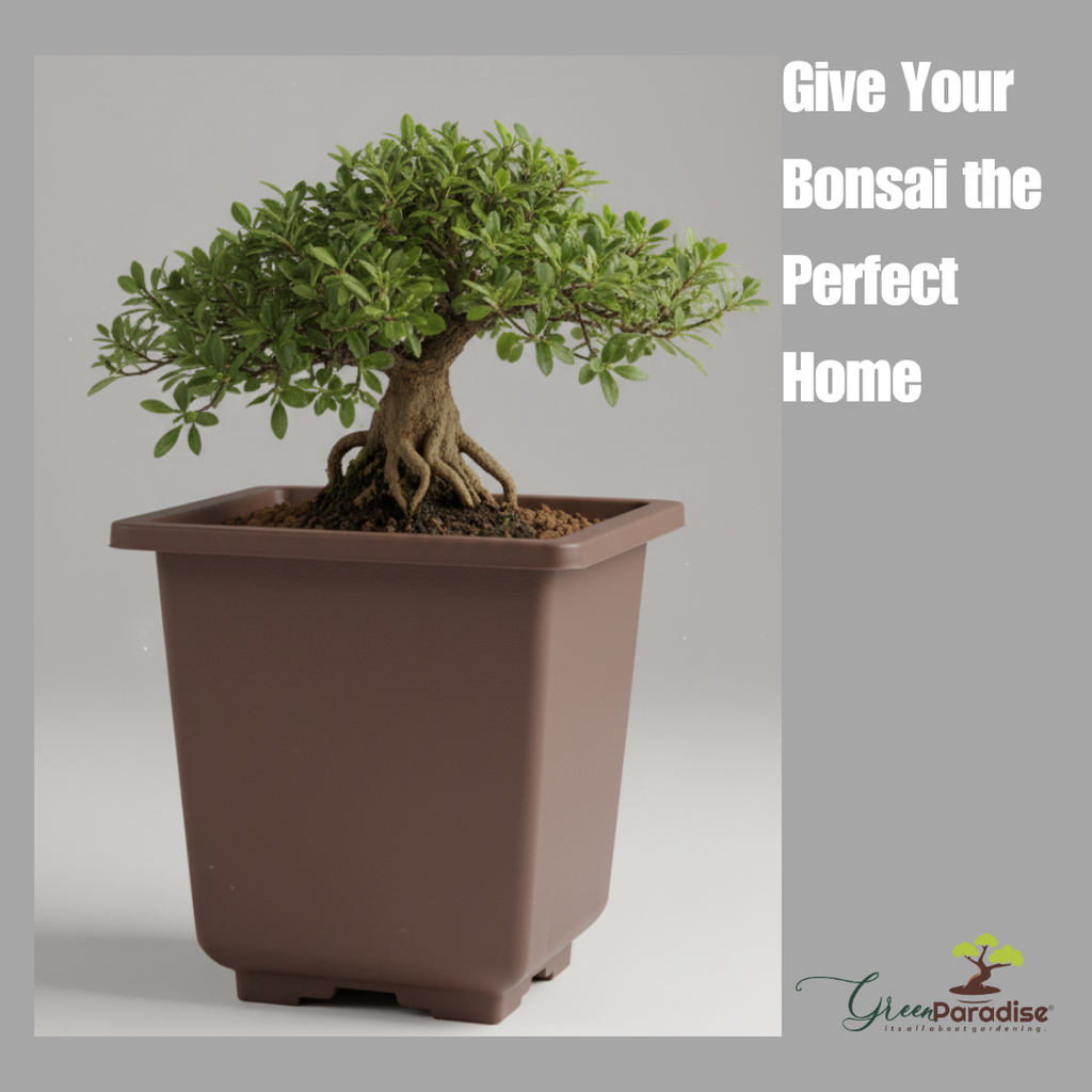 Green Paradise® Bonsai Training Pots plastic pots Tall Square bonsai pots purple clay color Plastic Bonsai Pots