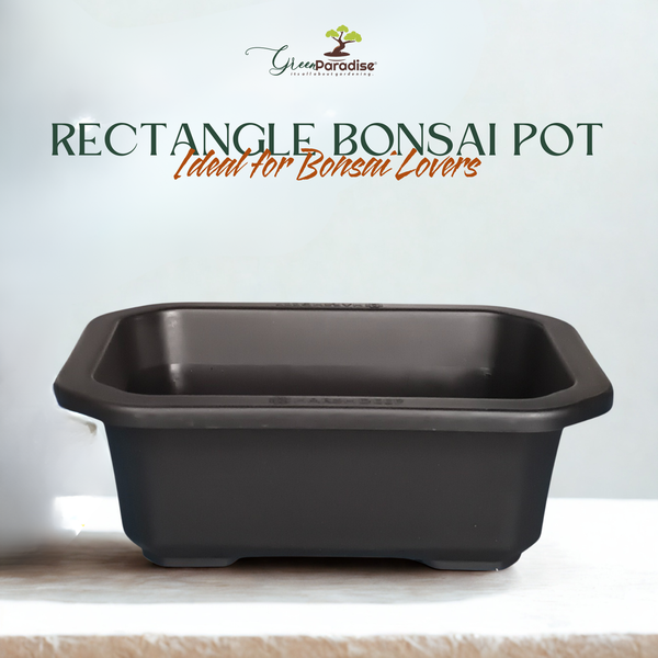 Green Paradise® Premium Black Rectangular Bonsai Pot Durable Plastic 21cm pot