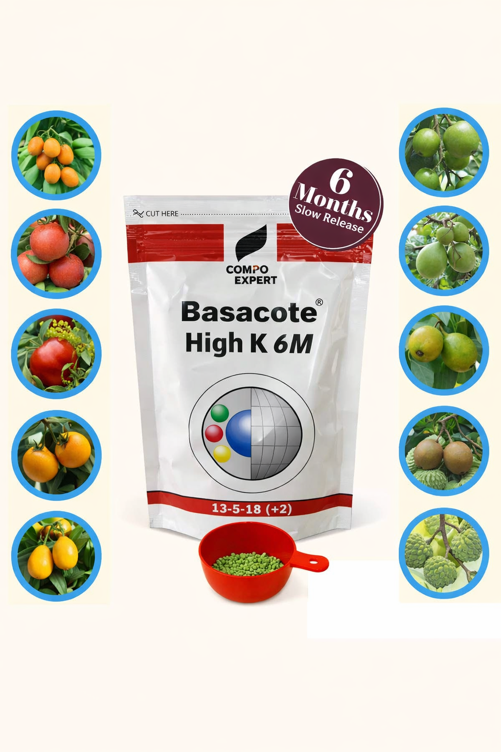 Slow Release Fertilizer (100g pack) 6 Months Slow Release NPK Fertilizer 13-5-18 (+2) + Micronutrients for Bonsai and Other Garden Plants (100g pack) once applied no need to give any fertilizer for next 6 months