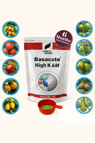 Slow Release Fertilizer (100g pack) 6 Months Slow Release NPK Fertilizer 13-5-18 (+2) + Micronutrients for Bonsai and Other Garden Plants (100g pack) once applied no need to give any fertilizer for next 6 months