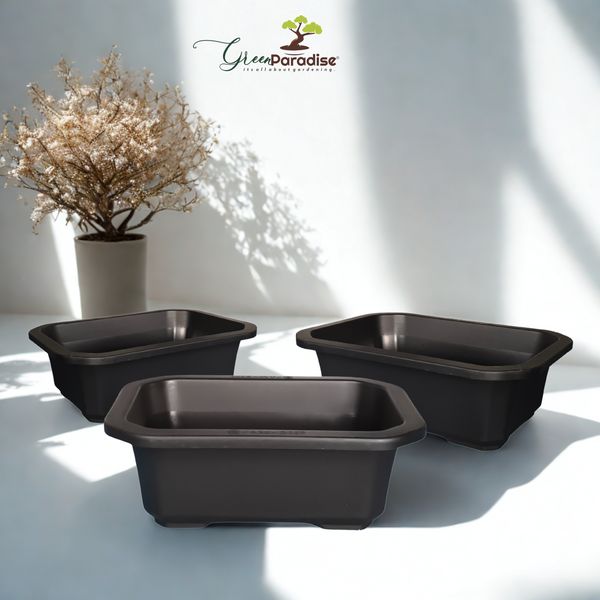 Green Paradise® Premium Black Rectangular Bonsai Pot Durable Plastic 21cm pot