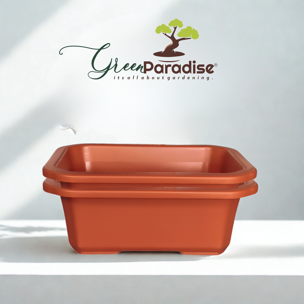 Green Paradise® Premium Rectangular Bonsai Pot Durable Plastic 28cm pot