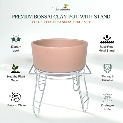 Green Paradise® Premium Bonsai Clay Pot with Stainless Steel Metal Stand – Planter for Healthy Bonsai Growth