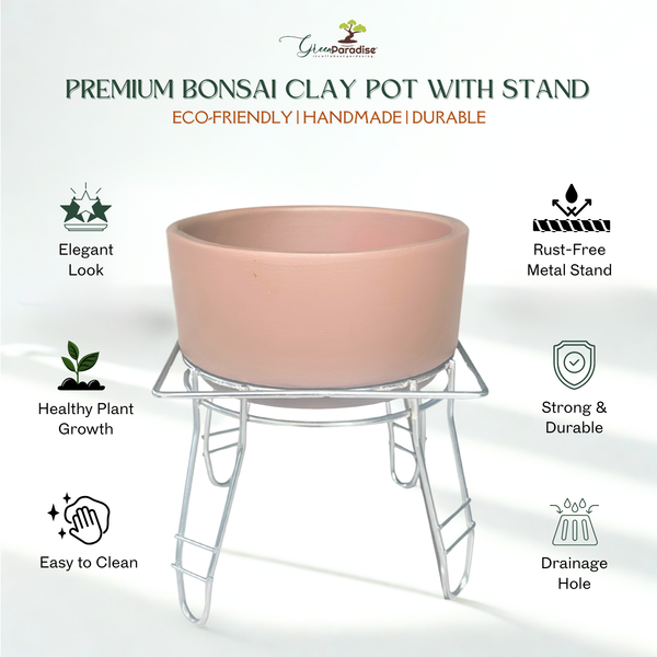 Green Paradise® Premium Bonsai Clay Pot with Stainless Steel Metal Stand – Planter for Healthy Bonsai Growth