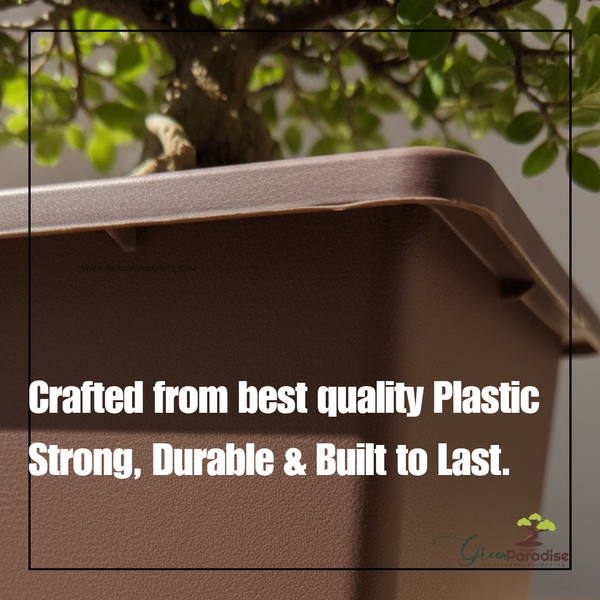 Green Paradise® Bonsai Training Pots plastic pots Tall Square bonsai pots purple clay color Plastic Bonsai Pots