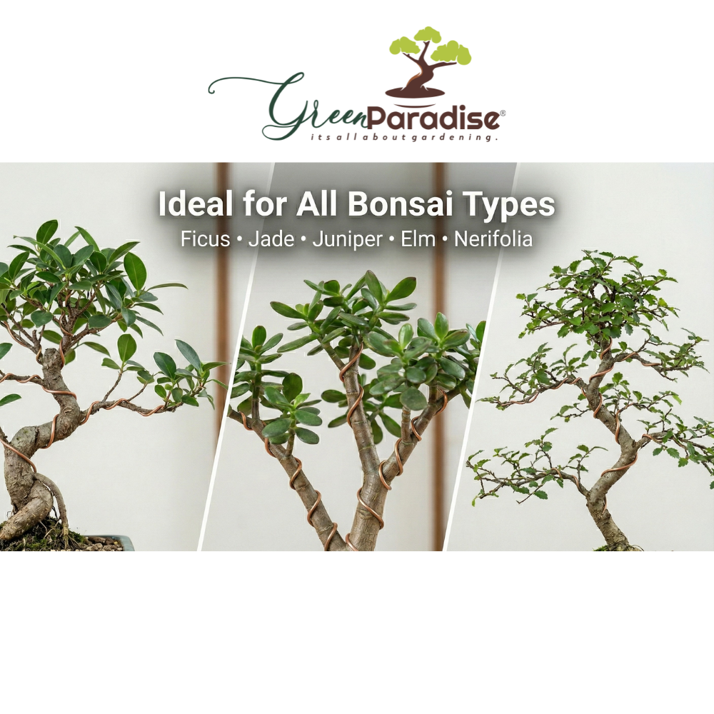 Bonsai Training Wires 2.0 mm  Aluminum Wires Set 300 feet Copper Color)