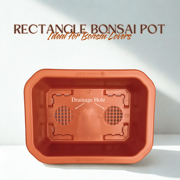 Green Paradise® Premium Rectangular Bonsai Pot Durable Plastic 28cm pot