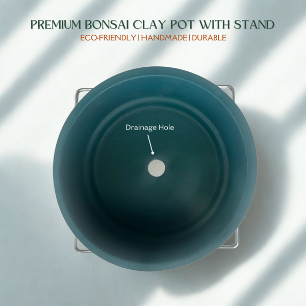 Green Paradise® Premium Bonsai Clay Pot with Stainless Steel Metal Stand – Planter for Healthy Bonsai Growth