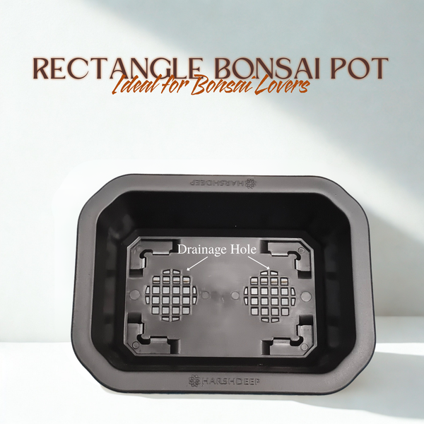 Green Paradise® Premium Black Rectangular Bonsai Pot Durable Plastic 21cm pot