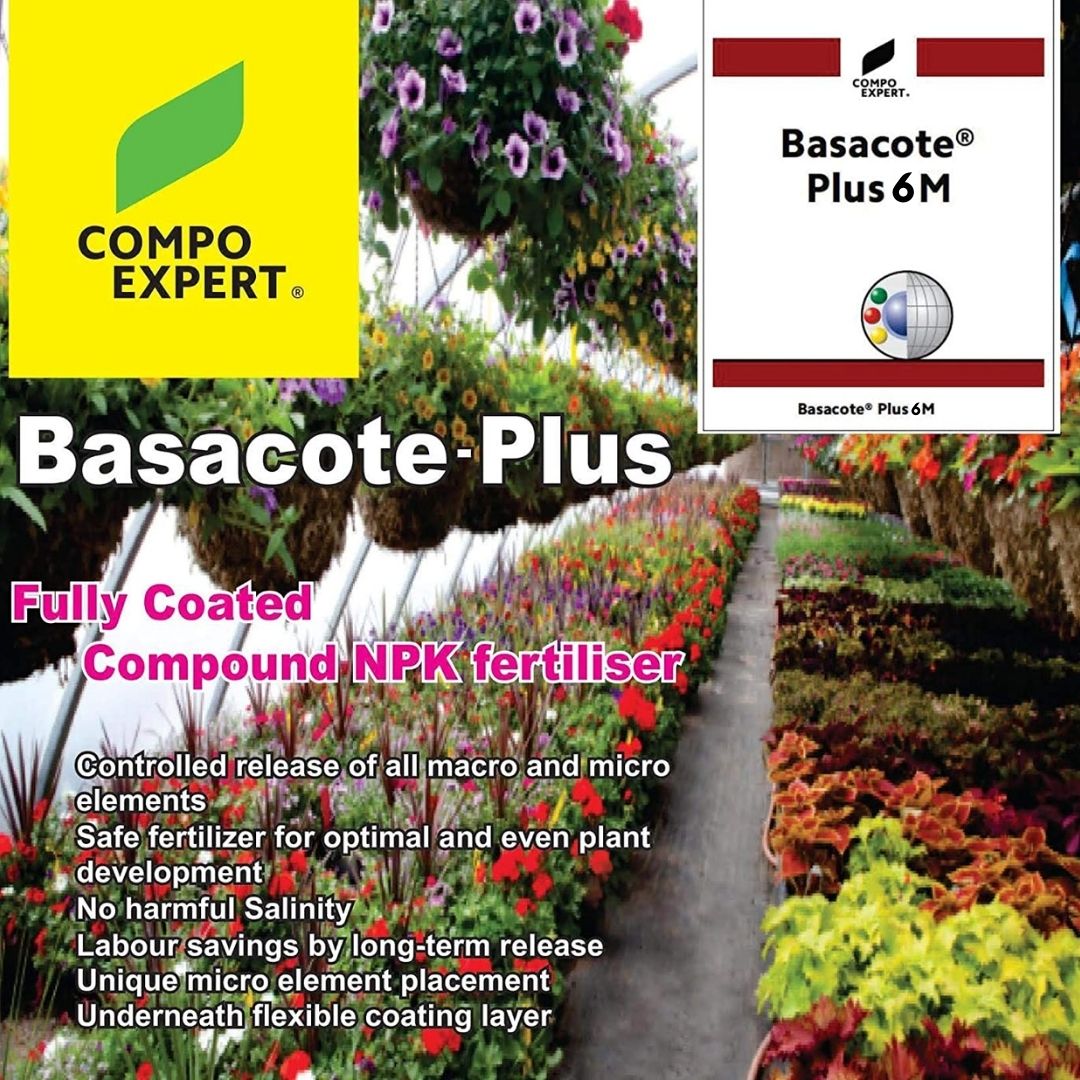 Slow Release Fertilizer (100g pack) 6 Months Slow Release NPK Fertilizer 13-5-18 (+2) + Micronutrients for Bonsai and Other Garden Plants (100g pack) once applied no need to give any fertilizer for next 6 months