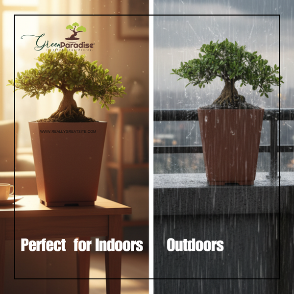 Green Paradise® Bonsai Training Pots plastic pots Tall Square bonsai pots purple clay color Plastic Bonsai Pots