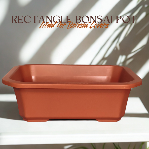 Green Paradise® Premium Rectangular Bonsai Pot Durable Plastic 40cm pot
