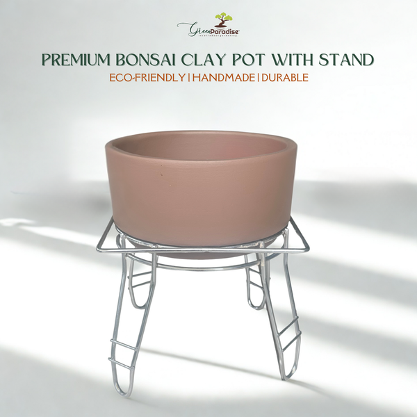 Green Paradise® Premium Bonsai Clay Pot with Stainless Steel Metal Stand – Planter for Healthy Bonsai Growth
