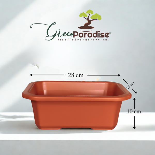 Green Paradise® Premium Rectangular Bonsai Pot Durable Plastic 28cm pot
