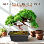 Green Paradise® Premium Black Rectangular Bonsai Pot Durable Plastic 21cm pot