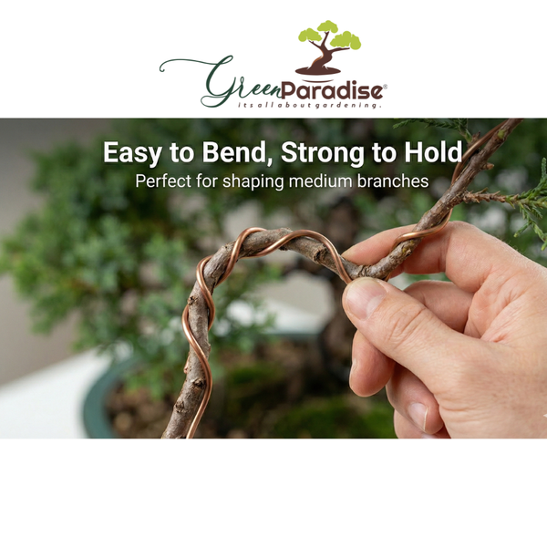 Bonsai Training Wires 2.0 mm  Aluminum Wires Set 300 feet Copper Color)