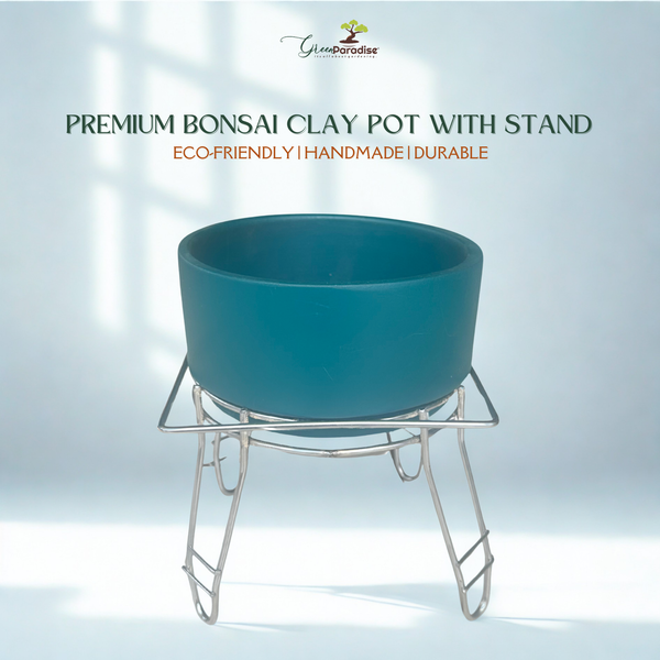 Green Paradise® Premium Bonsai Clay Pot with Stainless Steel Metal Stand – Planter for Healthy Bonsai Growth