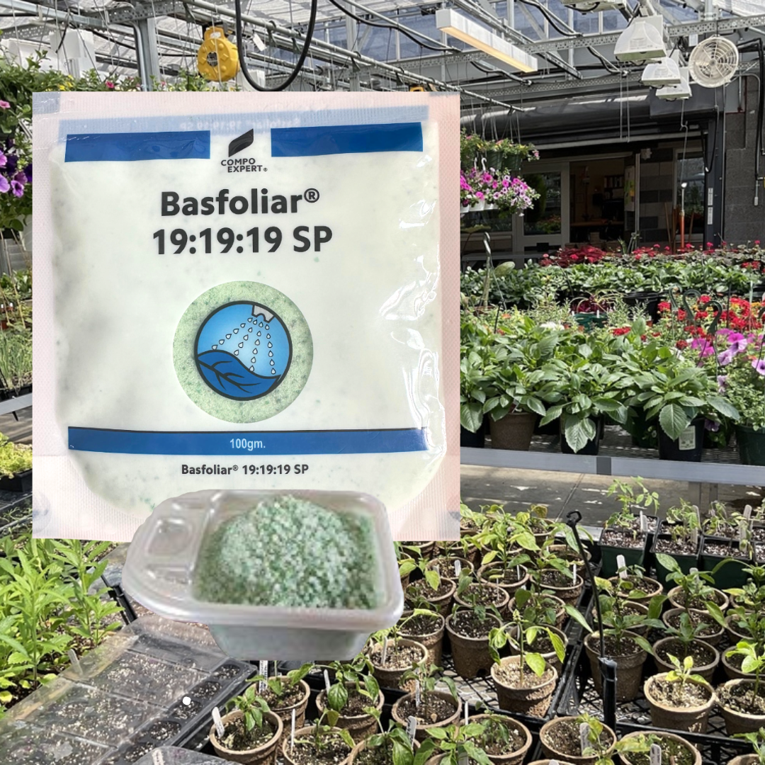 Basfoliar 19:19:19 For Home Garden & Plants Elevate Your Plant's Growth to New Heights (100gm)