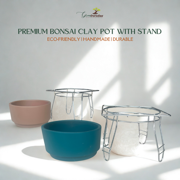 Green Paradise® Premium Bonsai Clay Pot with Stainless Steel Metal Stand – Planter for Healthy Bonsai Growth