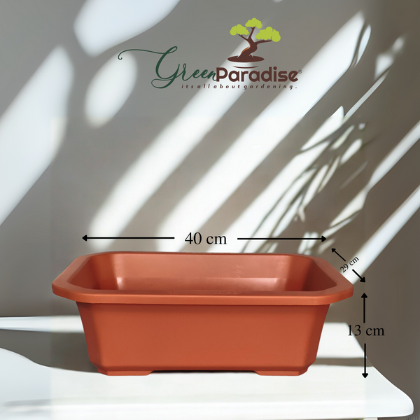 Green Paradise® Premium Rectangular Bonsai Pot Durable Plastic 40cm pot