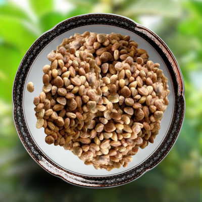 Green Paradise® Ashvagandha (Herbs) Seeds Pack