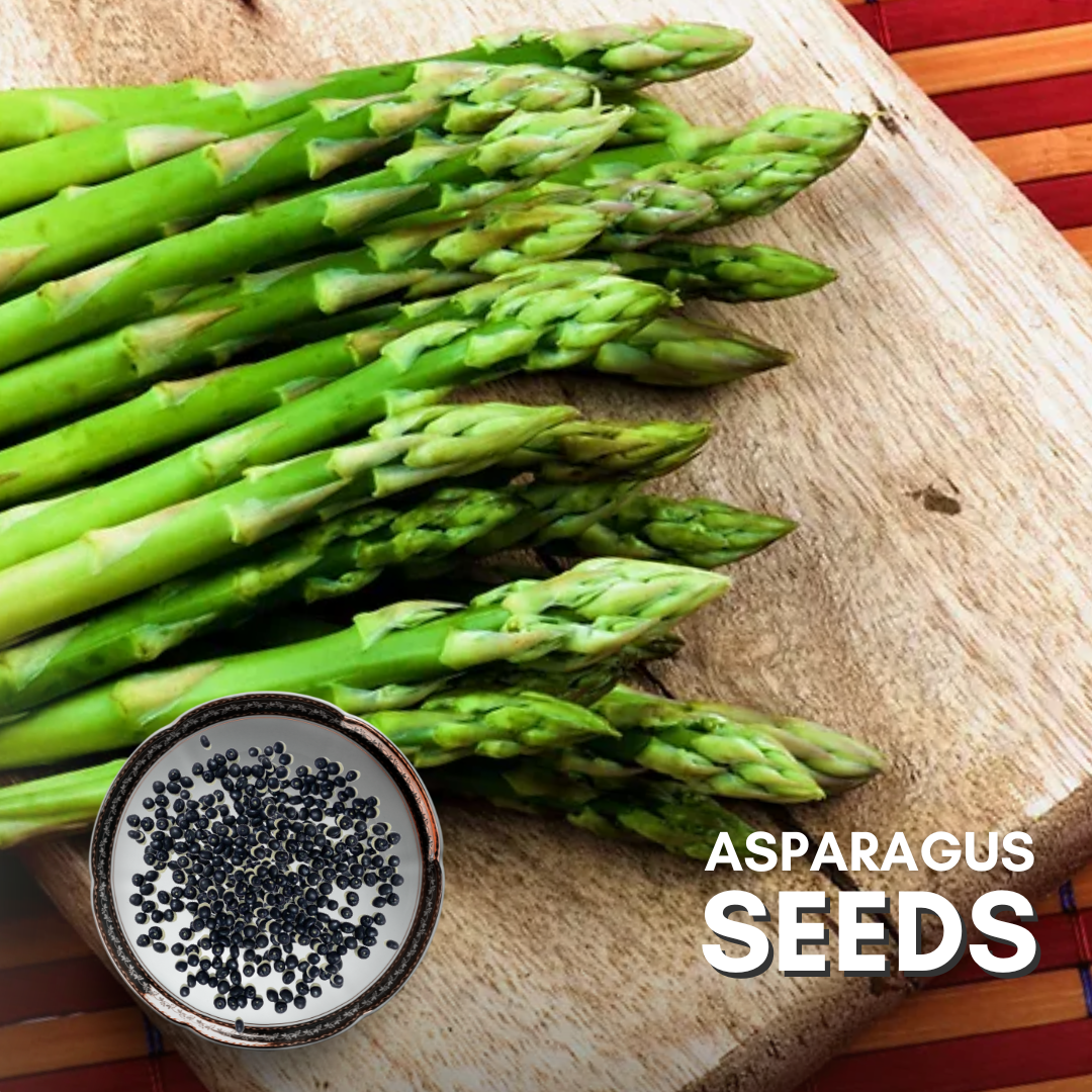 Green Paradise® Asparagus IMP Seeds Pack