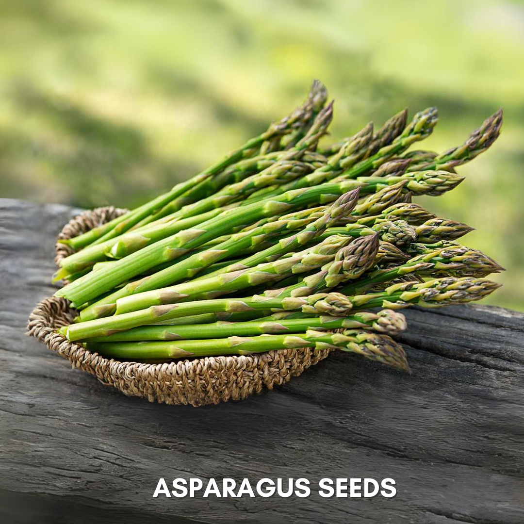 Green Paradise® Asparagus IMP Seeds Pack