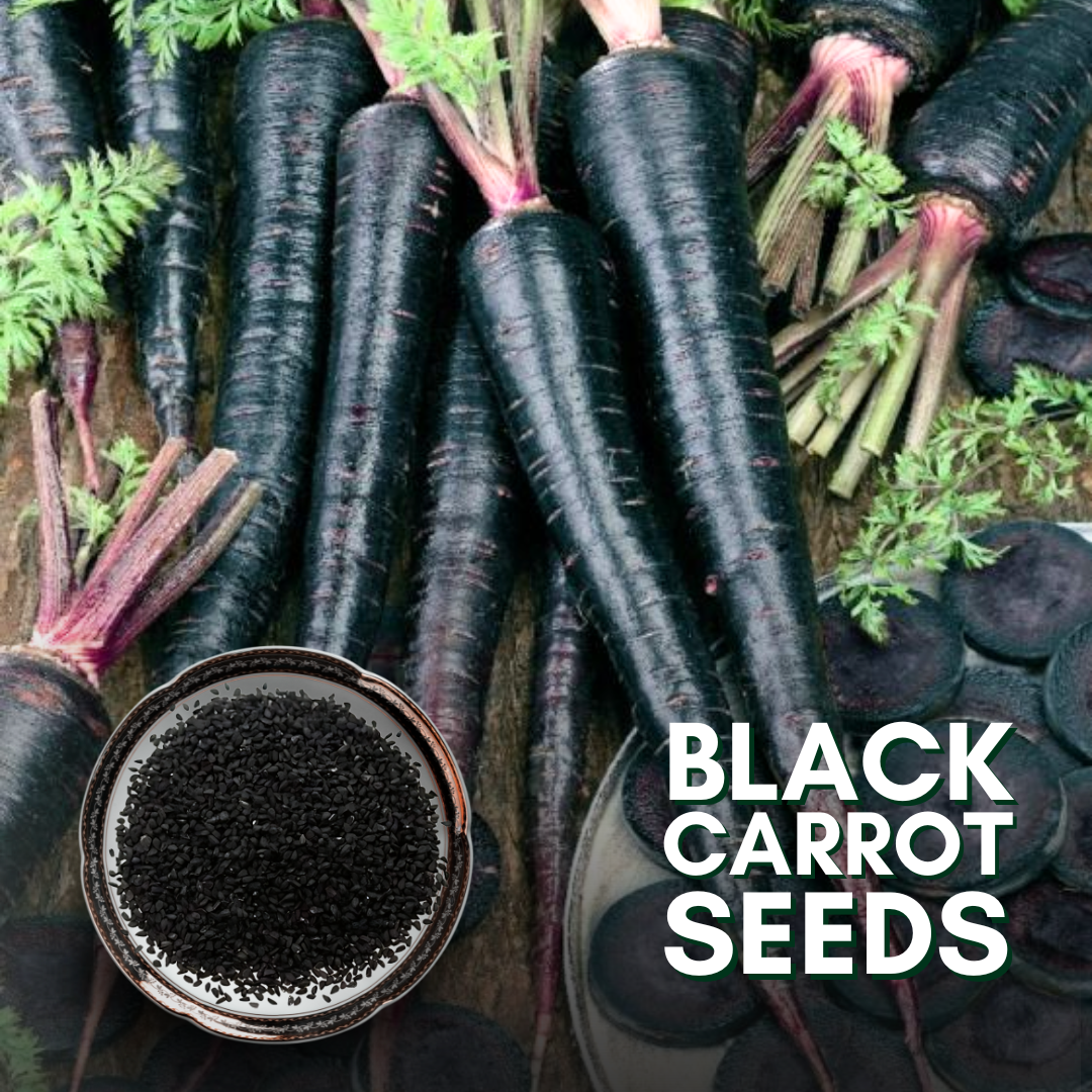Green Paradise® F1 Hybrid Black Carrot Seeds Pack