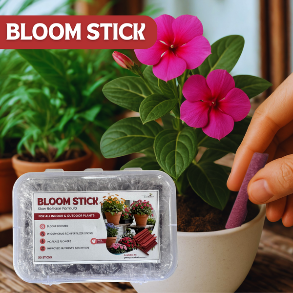Green Paradise® Bloom Stick – Boost Flowering in All Plants | Pack of 50