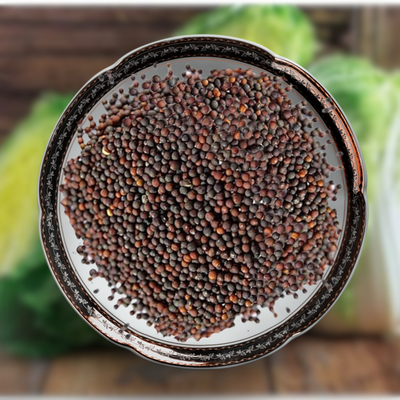 Green Paradise® Chinese Cabbage Seeds F1 Hybrid Seeds