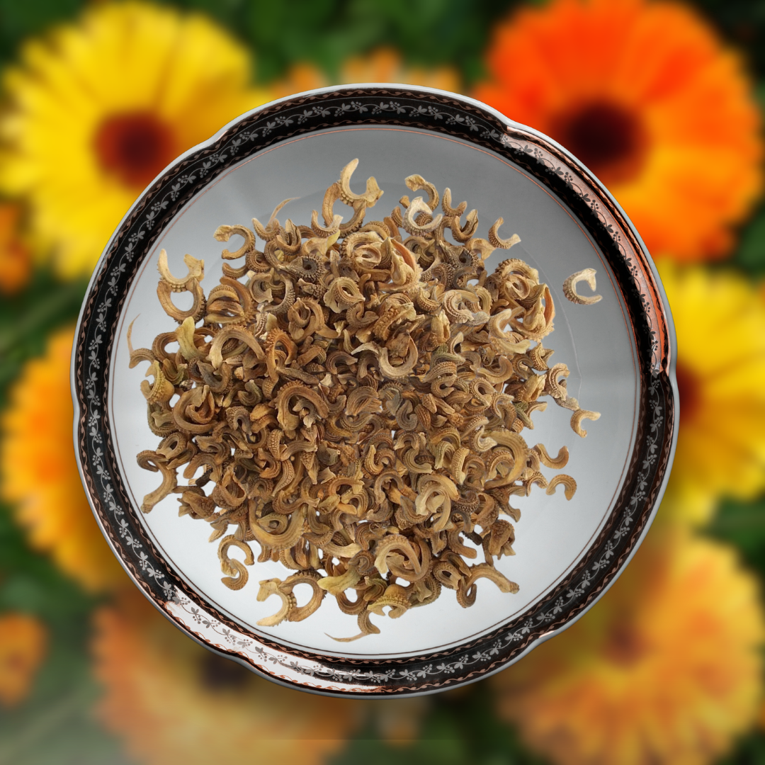 Green Paradise® Calendula Mix (Improved) Seeds Pack