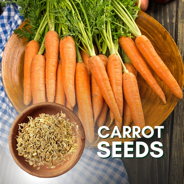 Green Paradise® Carrot Seeds