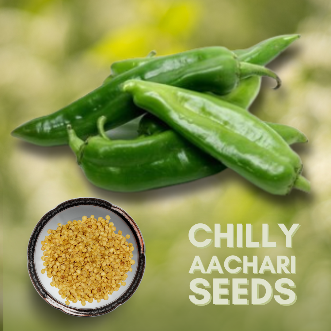 Green Paradise® Chilly Achari F1 Hybrid Seeds Pack