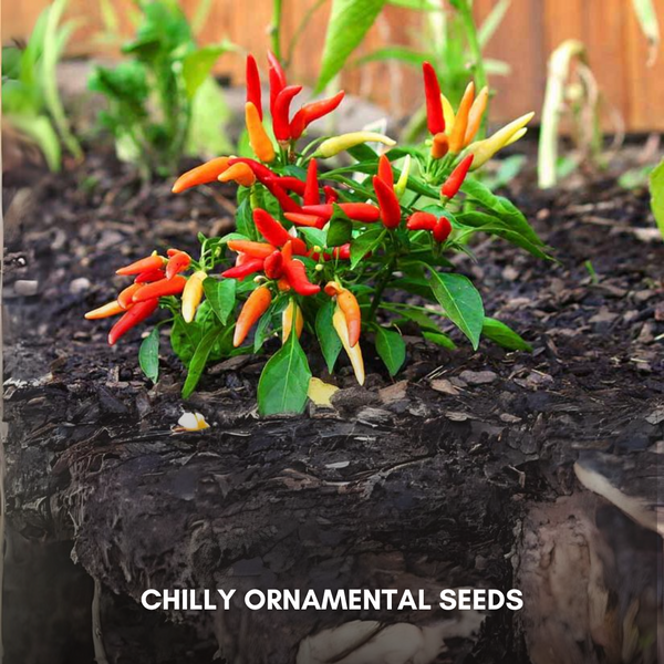 Green Paradise® Chilly Ornamental Seeds Pack
