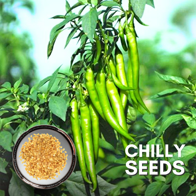 Green Paradise® Chilly F1 Hybrid Seeds Pack