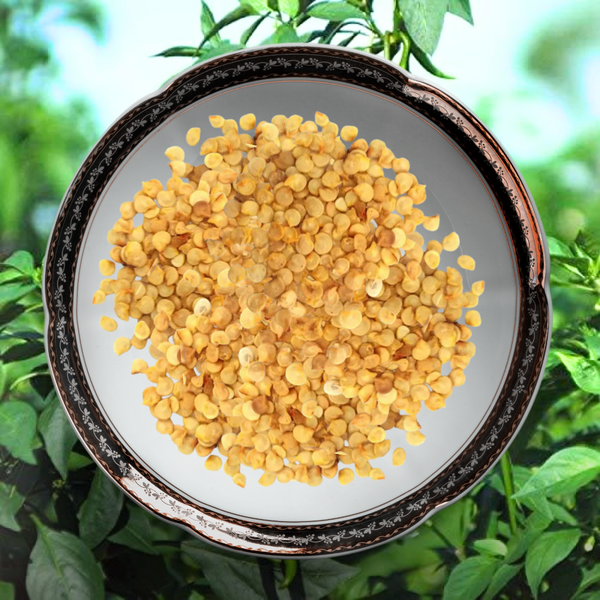 Green Paradise® Chilly F1 Hybrid Seeds Pack