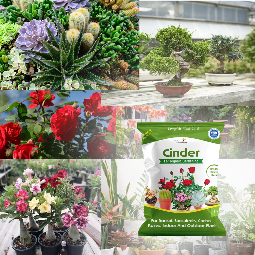 Green Paradise® Cinder High Quality Gardening Aggregate for Thriving Plants