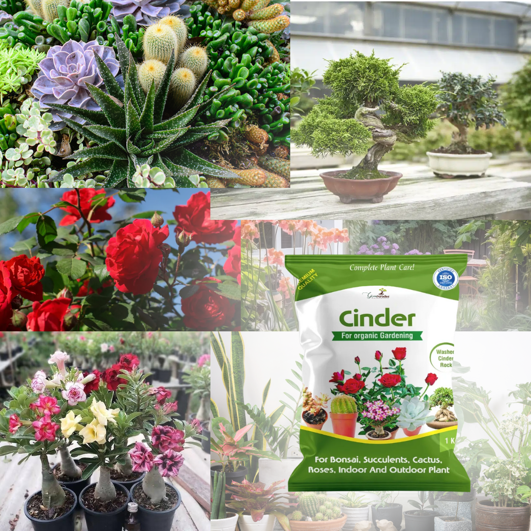 Green Paradise® Cinder – High Quality Gardening Aggregate for Thriving Plants