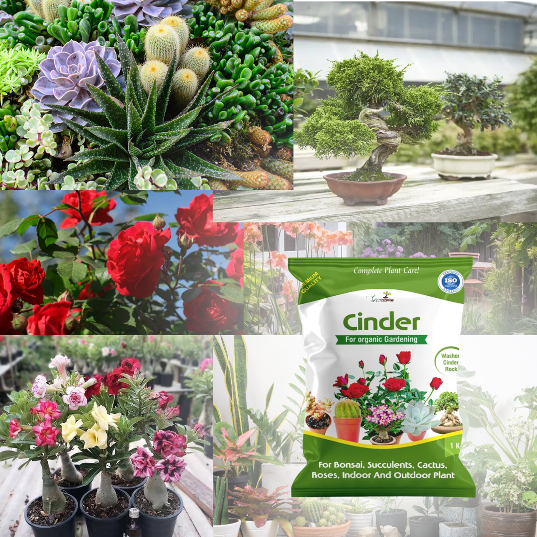 Green Paradise® Cinder High Quality Gardening Aggregate for Thriving Plants