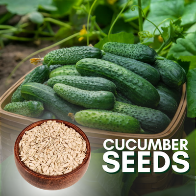 Green Paradise® Cucumber Seeds