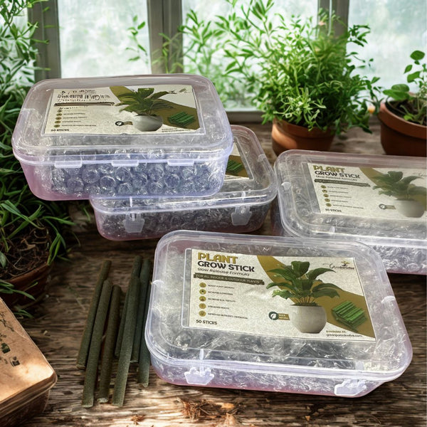 Green Paradise® Plant Grow Stick – 50 Sticks | Boost Growth, Flowering & Soil Fertility