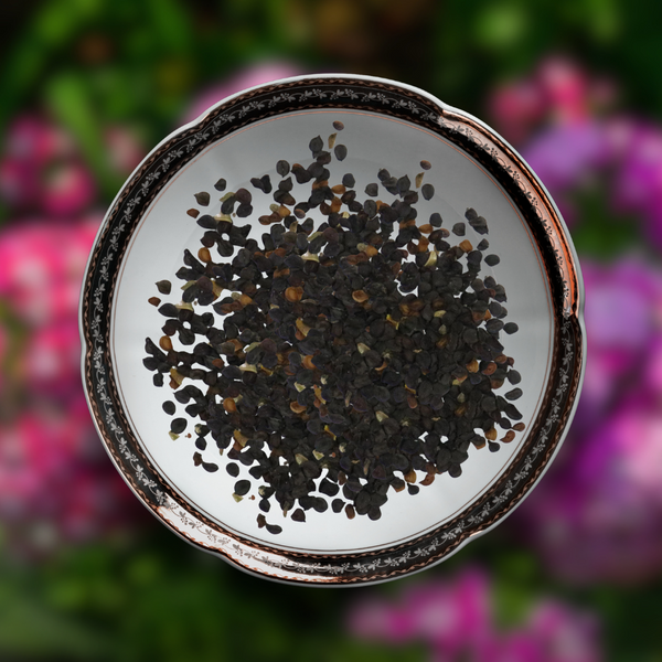 Green Paradise® Dianthus Flower (Improved) Seeds Pack