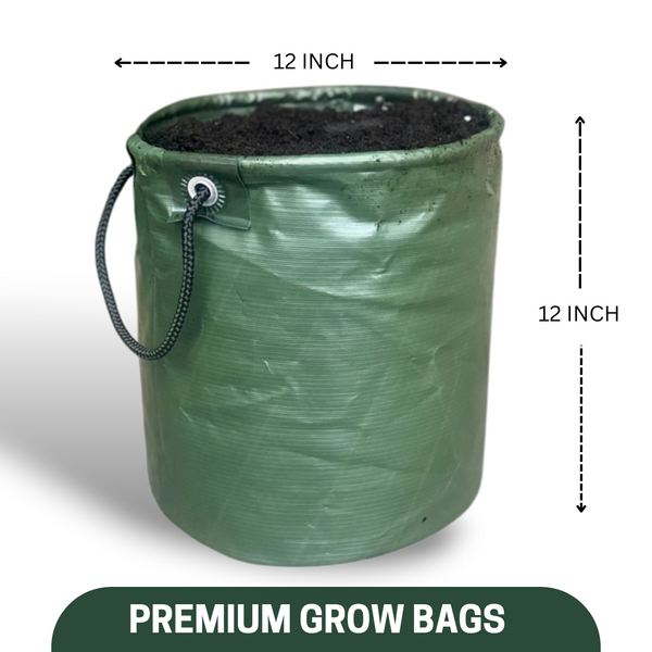 Green Paradise® Premium Quality Grow Bags Durable, Eco-Friendly Plant Containers with Handles, size 12x12 Inch