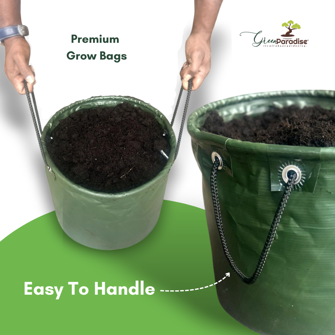 Green Paradise® Premium Quality Grow Bags Durable, Eco-Friendly Plant Containers with Handles, size 12x12 Inch