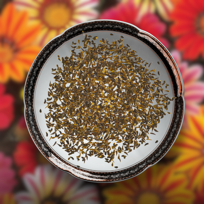 Green Paradise® Gazania (Improved) Seeds Pack