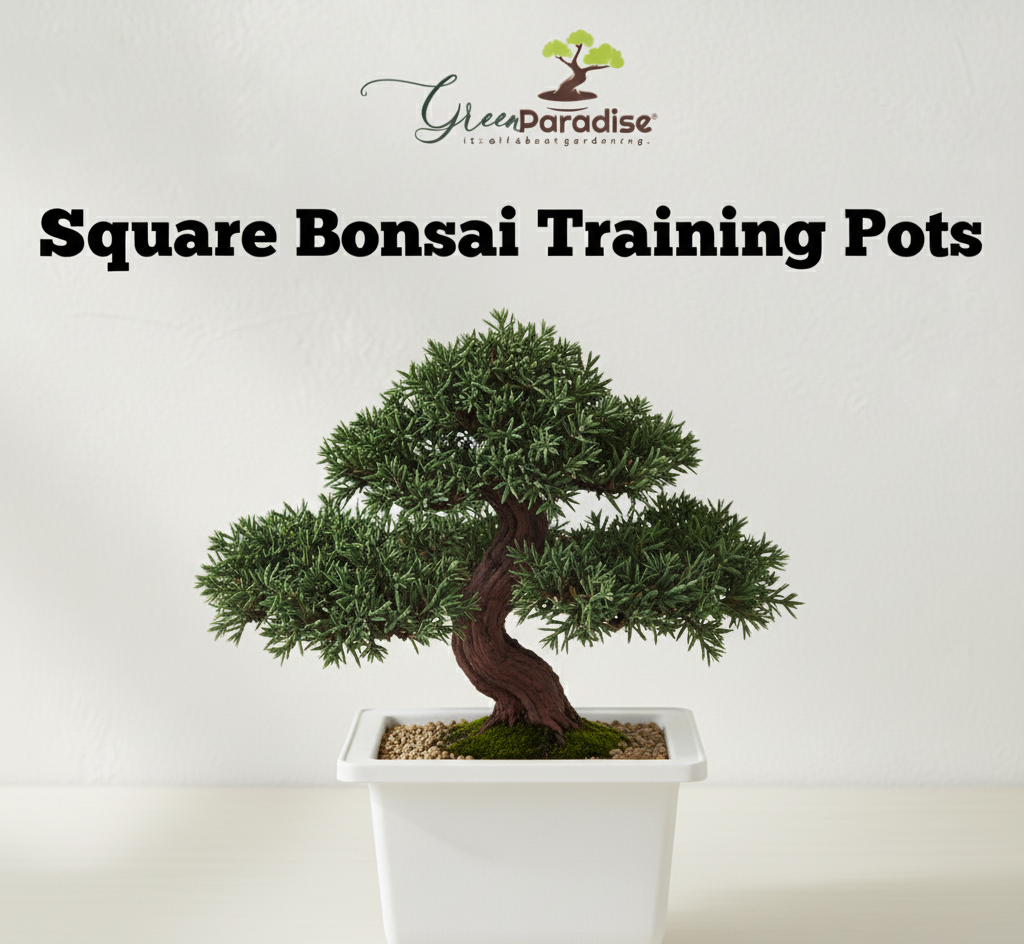 Green Paradise® Bonsai Pots Plastic Bonsai Training Pots (Square )(white )